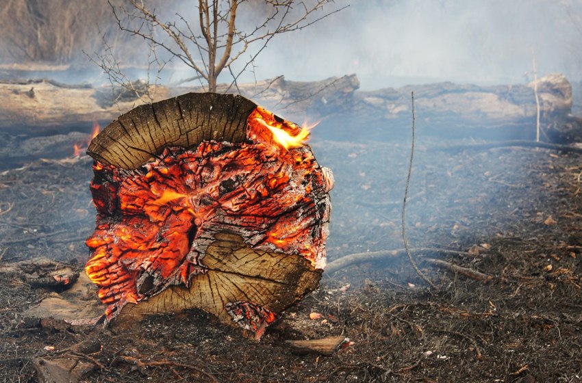 Experta advierte sobre las consecuencias del cambio climático para La Araucanía